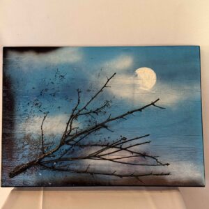 Entre Galhos e Brumas